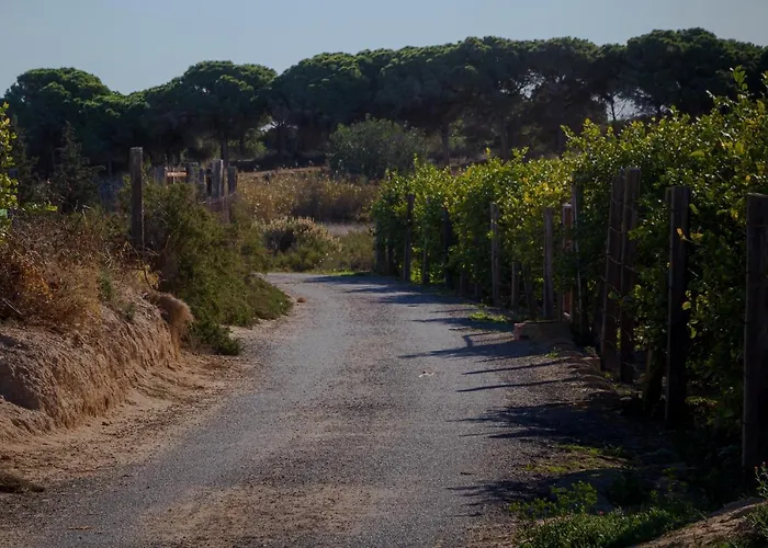 Appartamento Del Mar